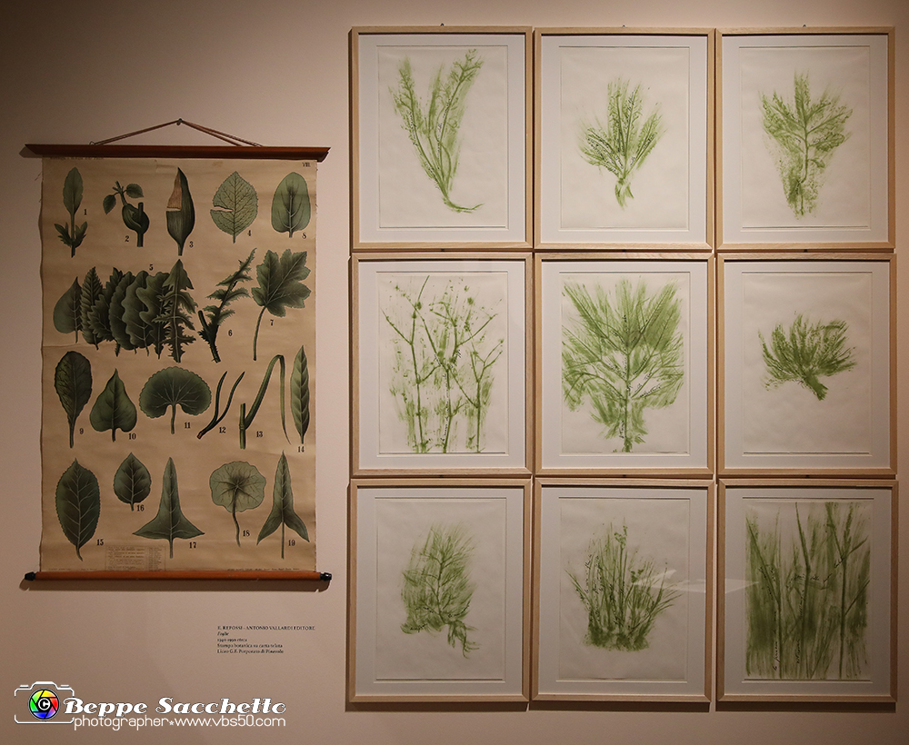 VBS_1317 - Castello di Miradolo - Mostra Oltre il giardino l'Abbecedario di paolo Pejrone.jpg